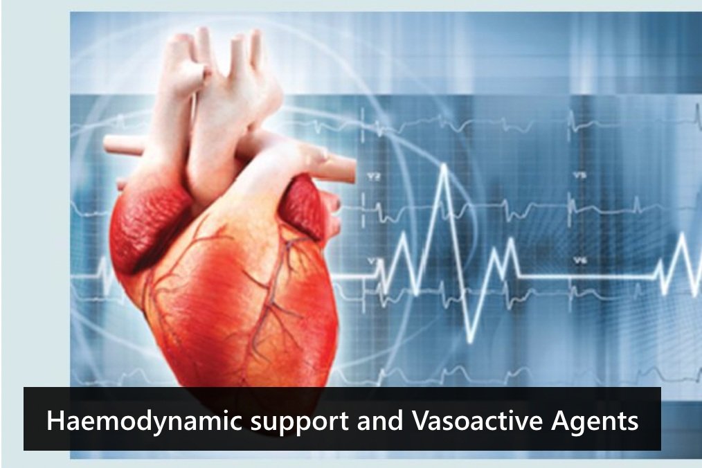 Haemodynamic support and Vasoactive agents