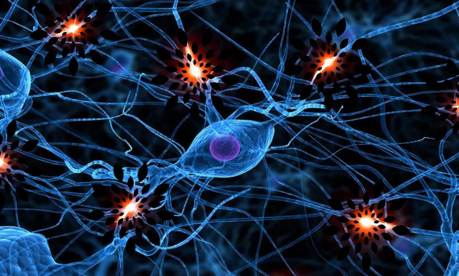 Neural_Networks_Seed.jpg