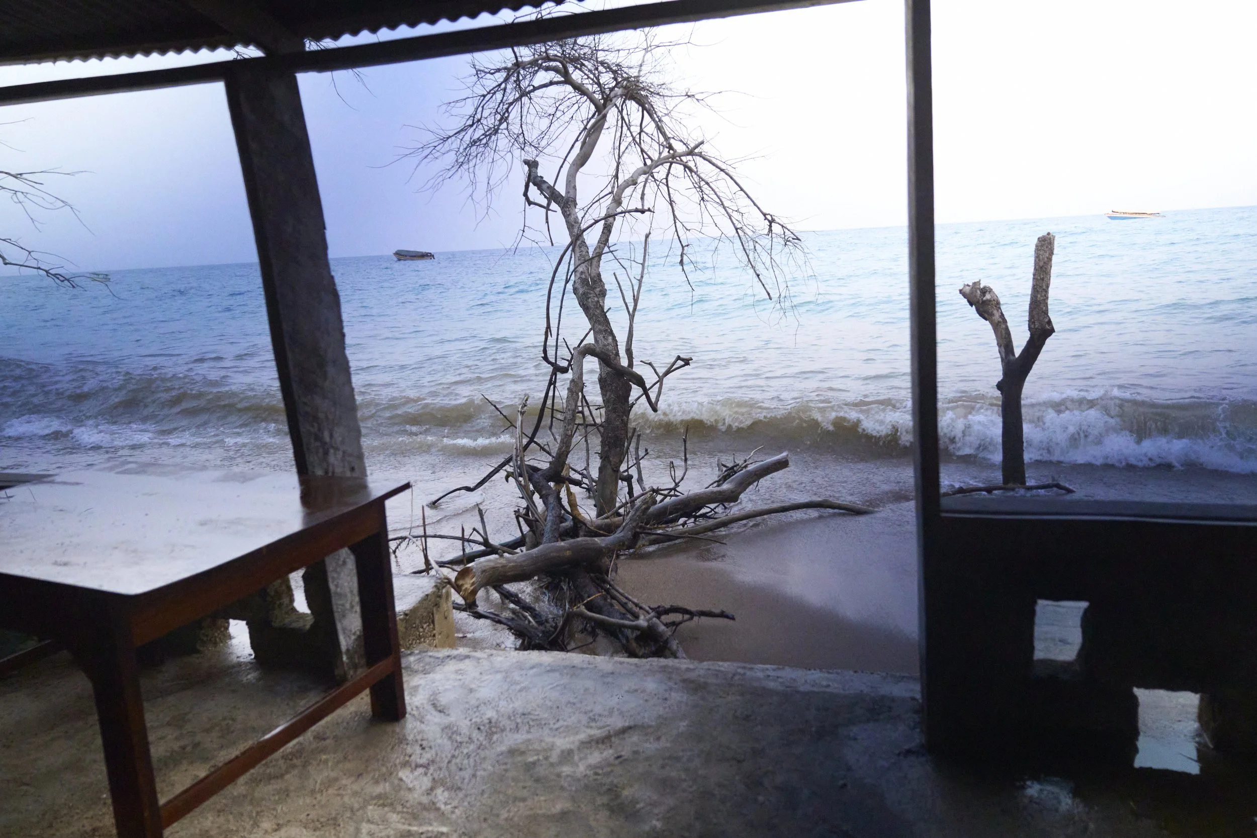 Maison de Jane Goodall submergée par les eaux
