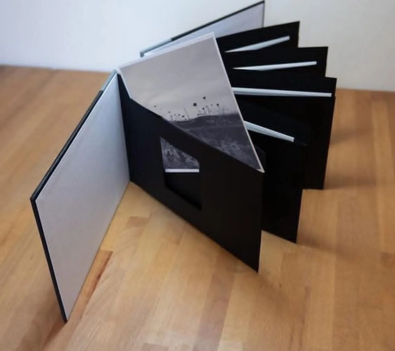 PHOTO-2026-01-24-11-00-25 2.jpg