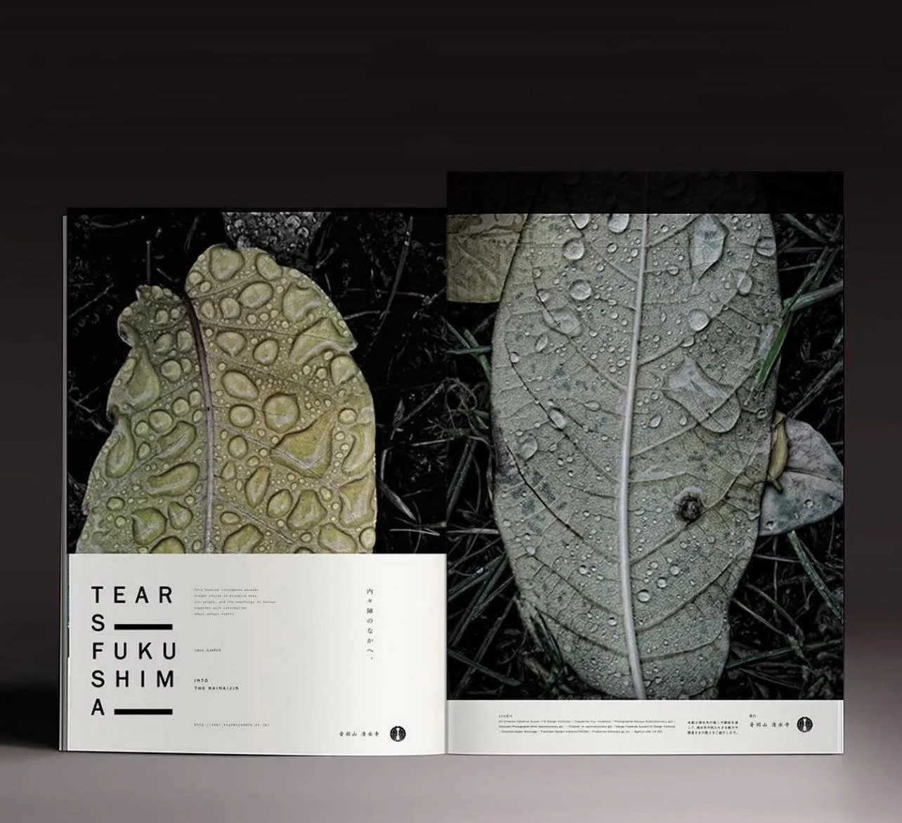 PHOTO-2026-01-24-11-00-17 2.jpg