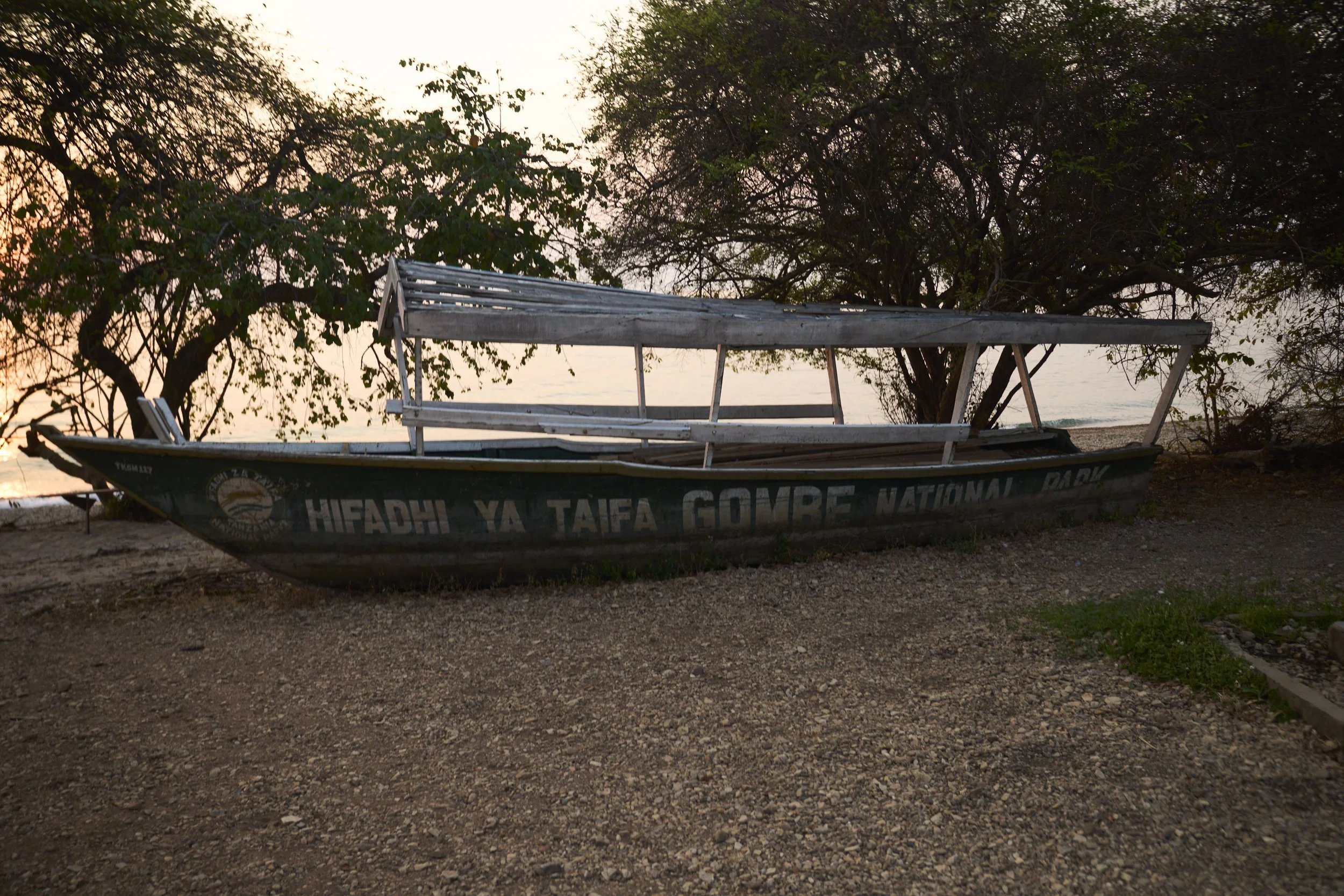 Pirogue traditionelle ralliant la base de Gombé à la ville de Kigoma 
