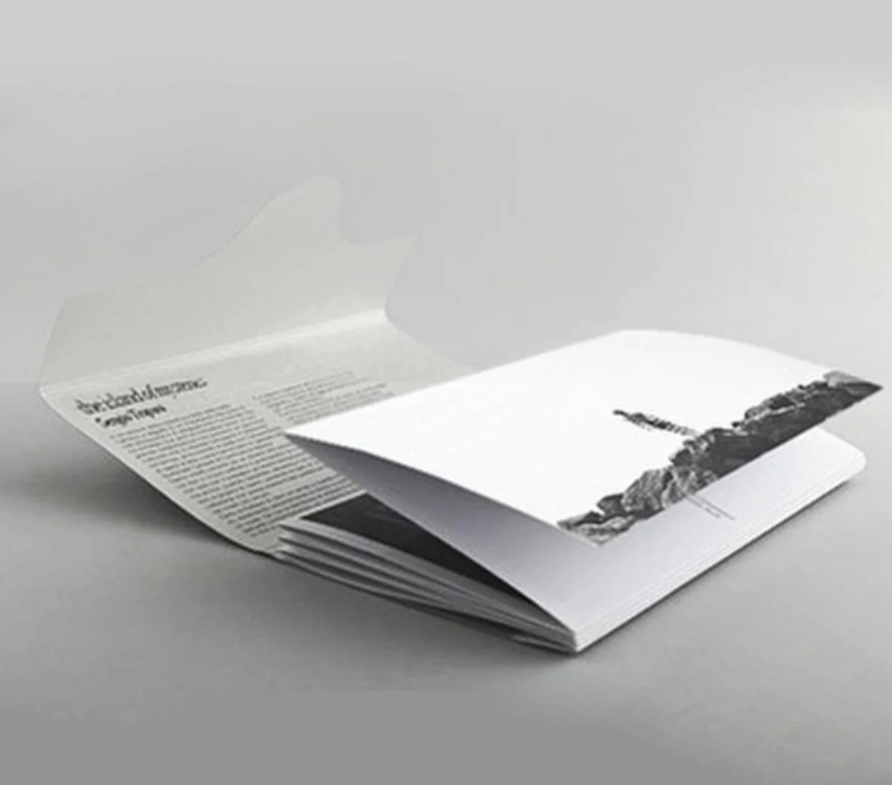 PHOTO-2026-01-24-11-00-25 3.jpg