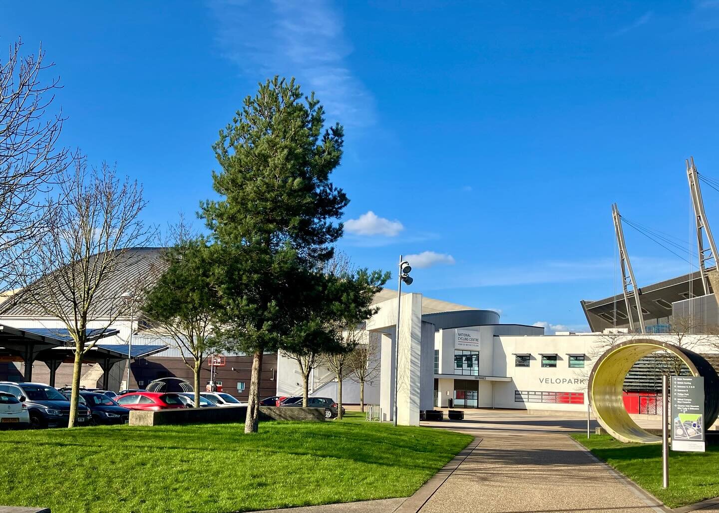 A Scots pine Tree of the Day thriving outside ⁦‪@N_CyclingCentre‬⁩ Manchester, the home of ⁦‪@BritishCycling‬⁩ today.