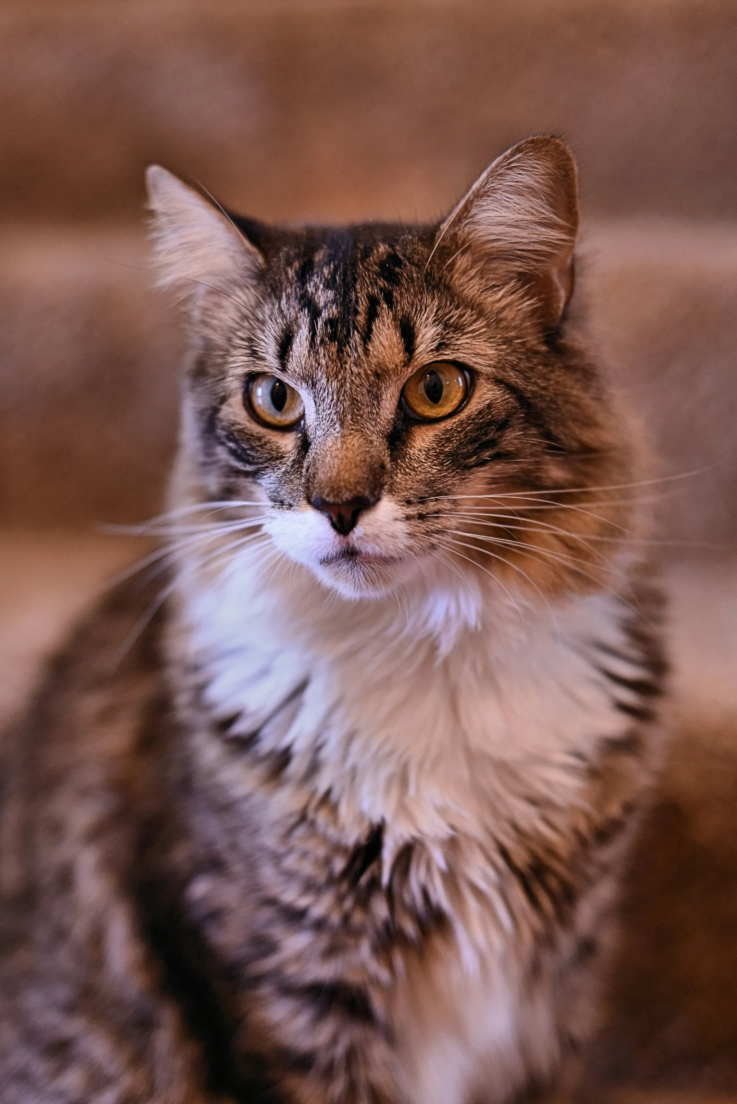 DSC_6294 - Copy - Copy.JPG