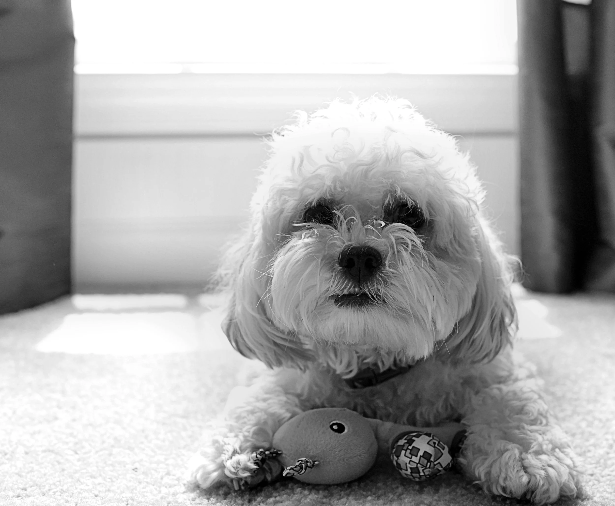 DSC_6189 - Copy - Copy.JPG