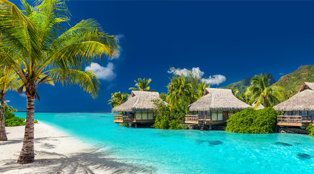 Can you imagine the turquoise waters and sunny skies of the Caribbean right about now? One place that’s caught our eye is the Frangipani Beach Resort in Anguilla, named one of the world’s best resorts by Travel + Leisure. Maybe the dream’s not so far off. At Tuckahoe Creek Apartments, Veteran LED saves the owners $12,060 a year through energy-efficient solutions. That’s enough to book a seven-night stay in a Frangipani penthouse suite. How you spend your extra money is up to you. But one thing we know: It won’t be going to a utility company. How much can you save? Schedule an estimate with us . CLICK HERE TO READ OUR JANUARY NEWSLETTER