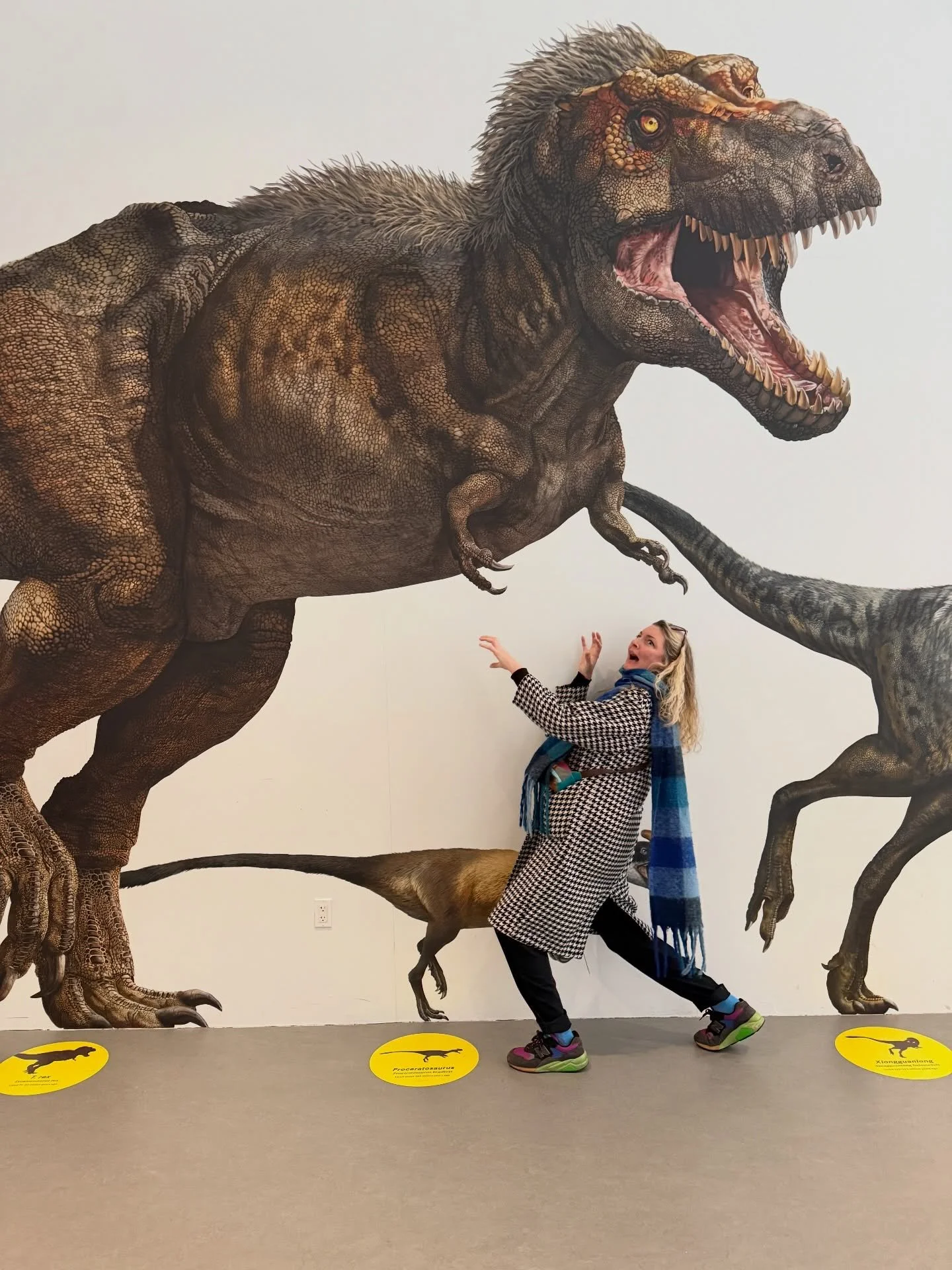 Week 1 of my NY visit. 🎉 First time ever in this city and it really delivers. Museum, Dinosaurs, East Village, Notebook shops that also sell socks, 30 Rock and Radio City. Now we hibernate from the storm. 💜