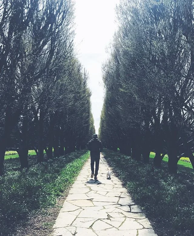 🌳🌳spring wanders🌳🌳