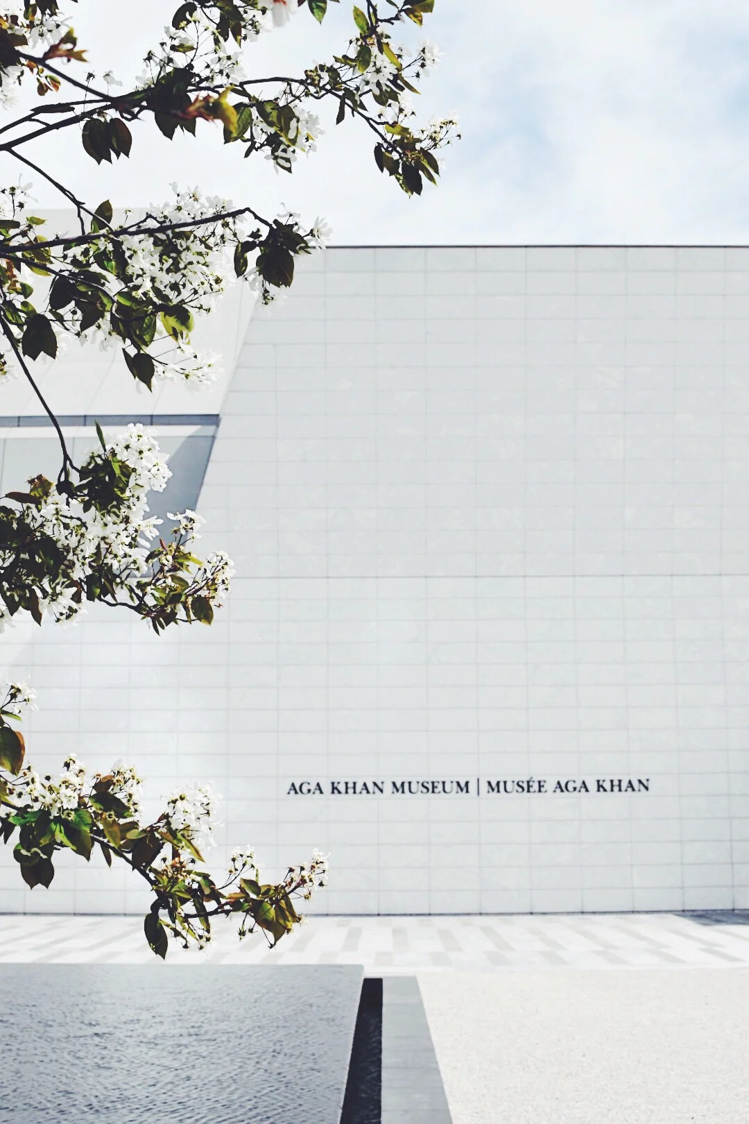 Blossom Season at the Aga Khan Museum