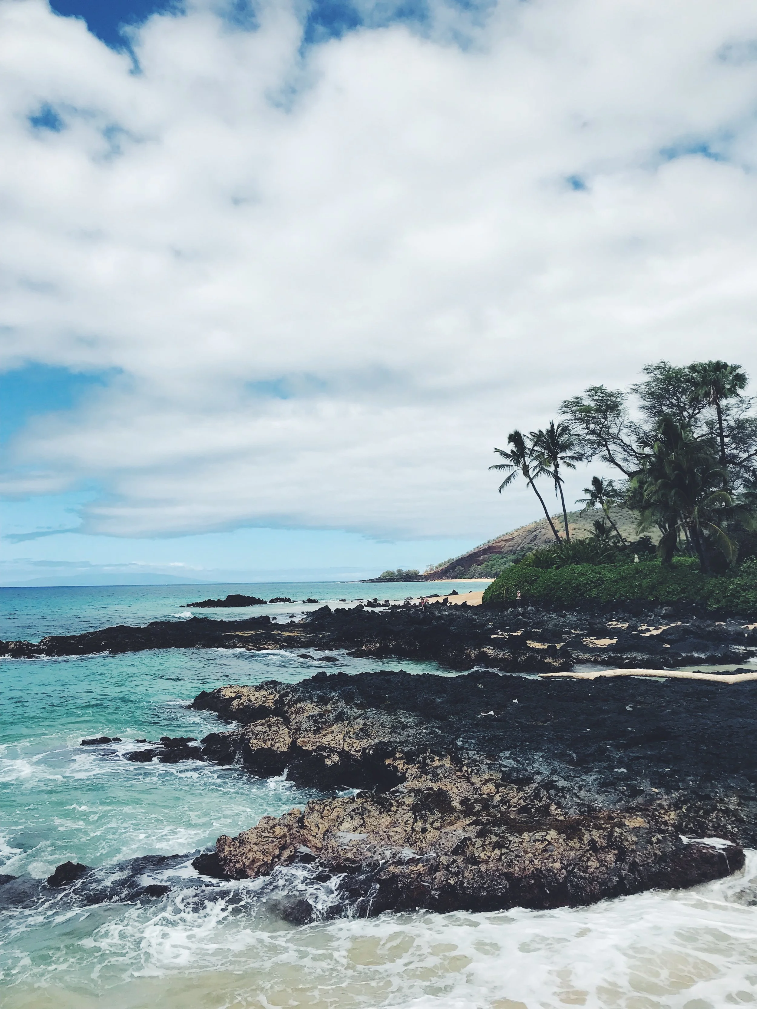Vacationing in Maui