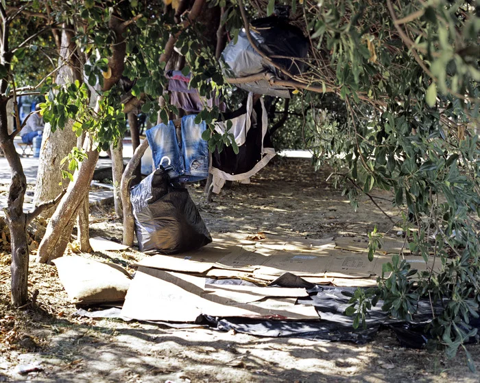 Sahin and Batuhan's shelter.