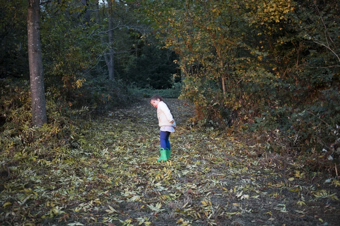 blog_449_58cbd69da25ca.jpg