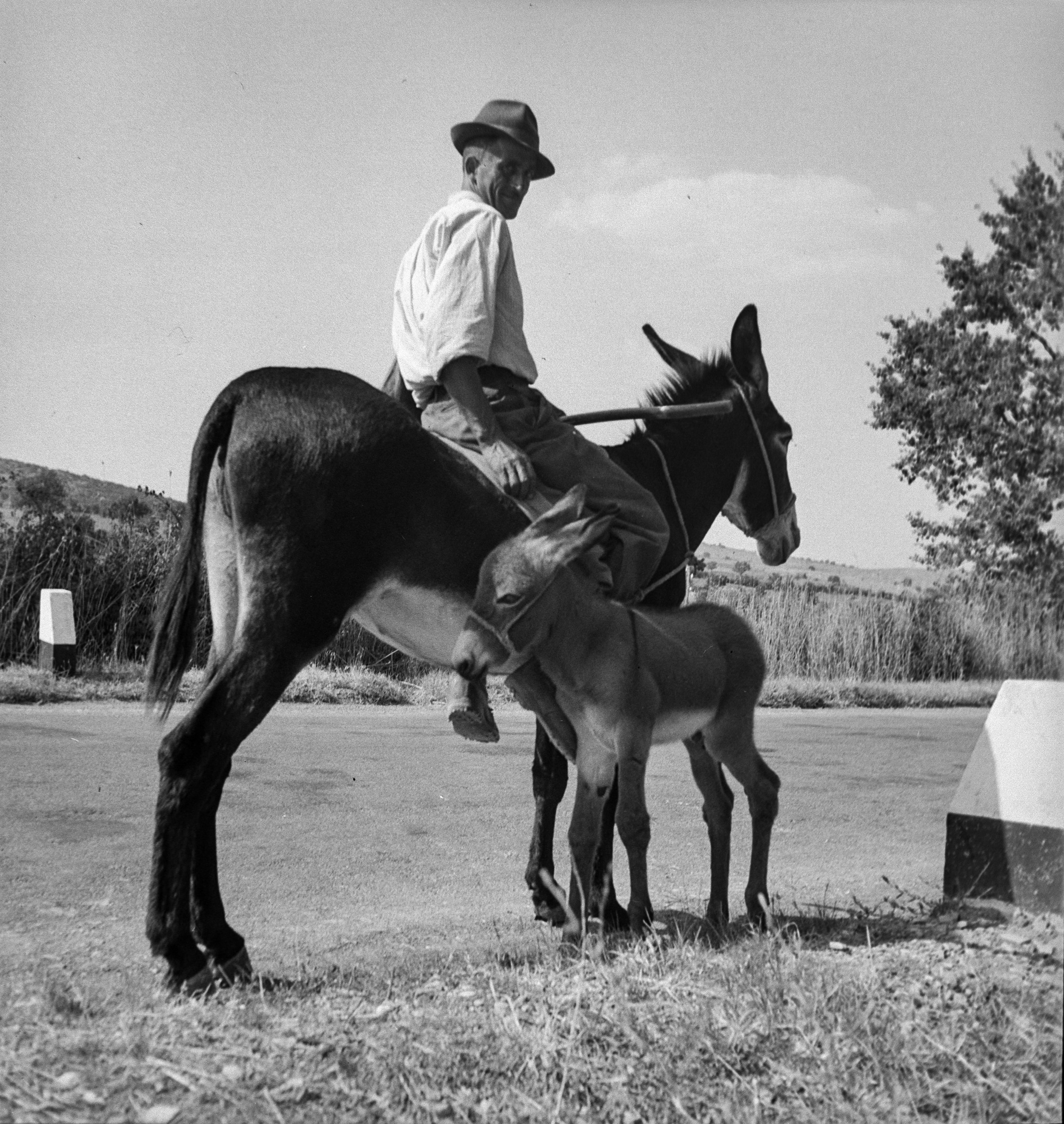 09Herrmann Leisinger Archive .jpg