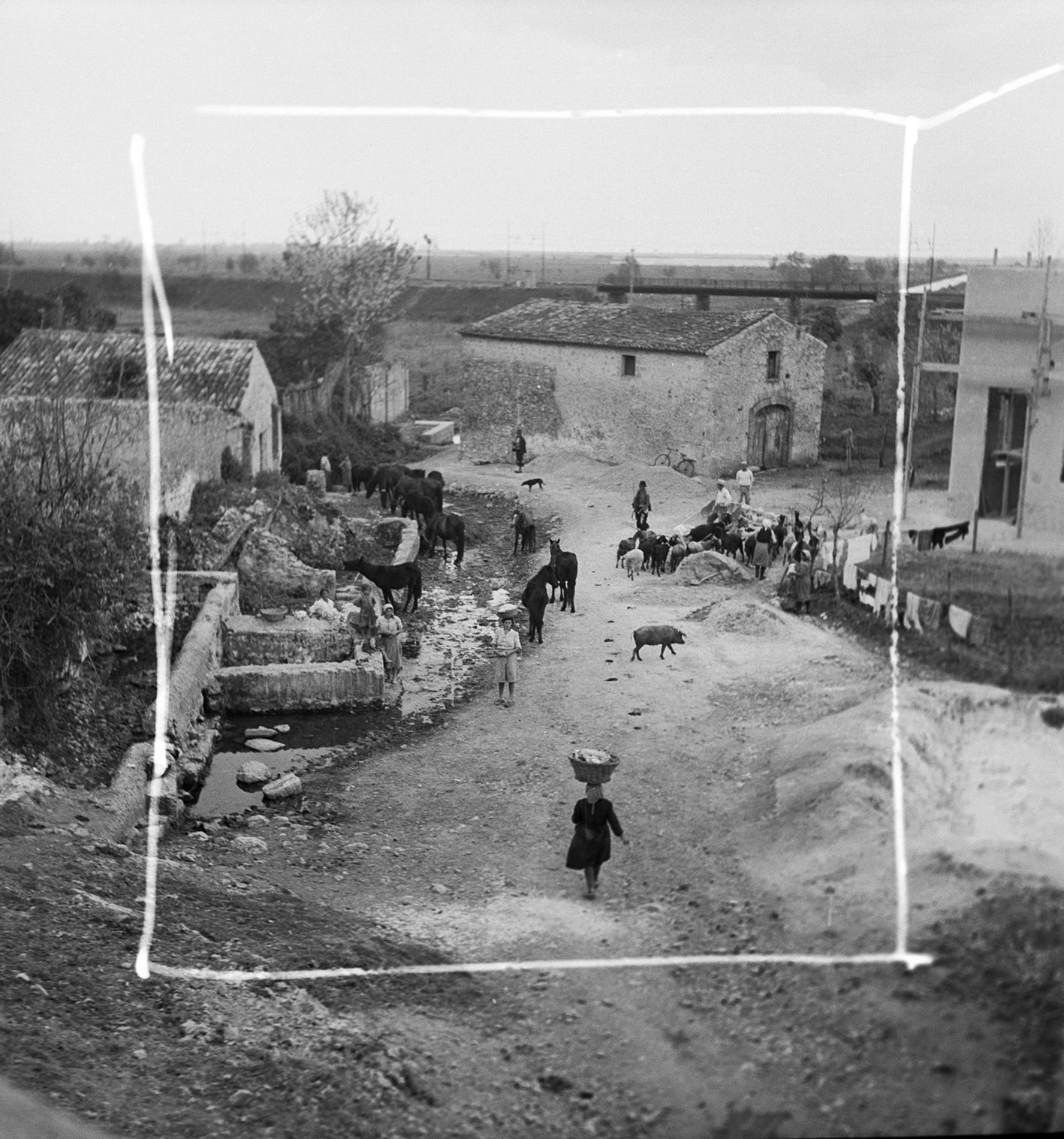 18Herrmann Leisinger Archive .jpg