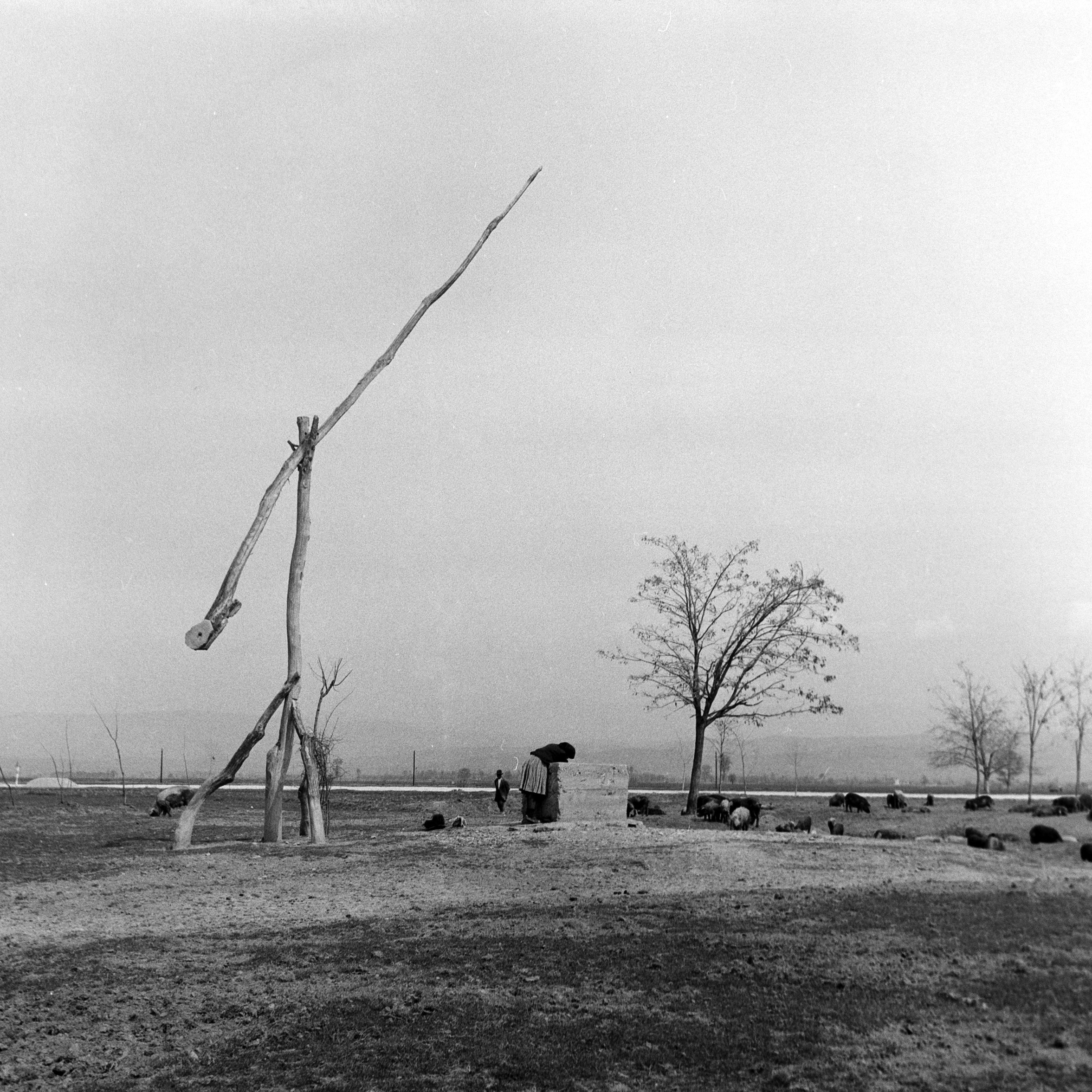 23Herrmann Leisinger Archive .jpg