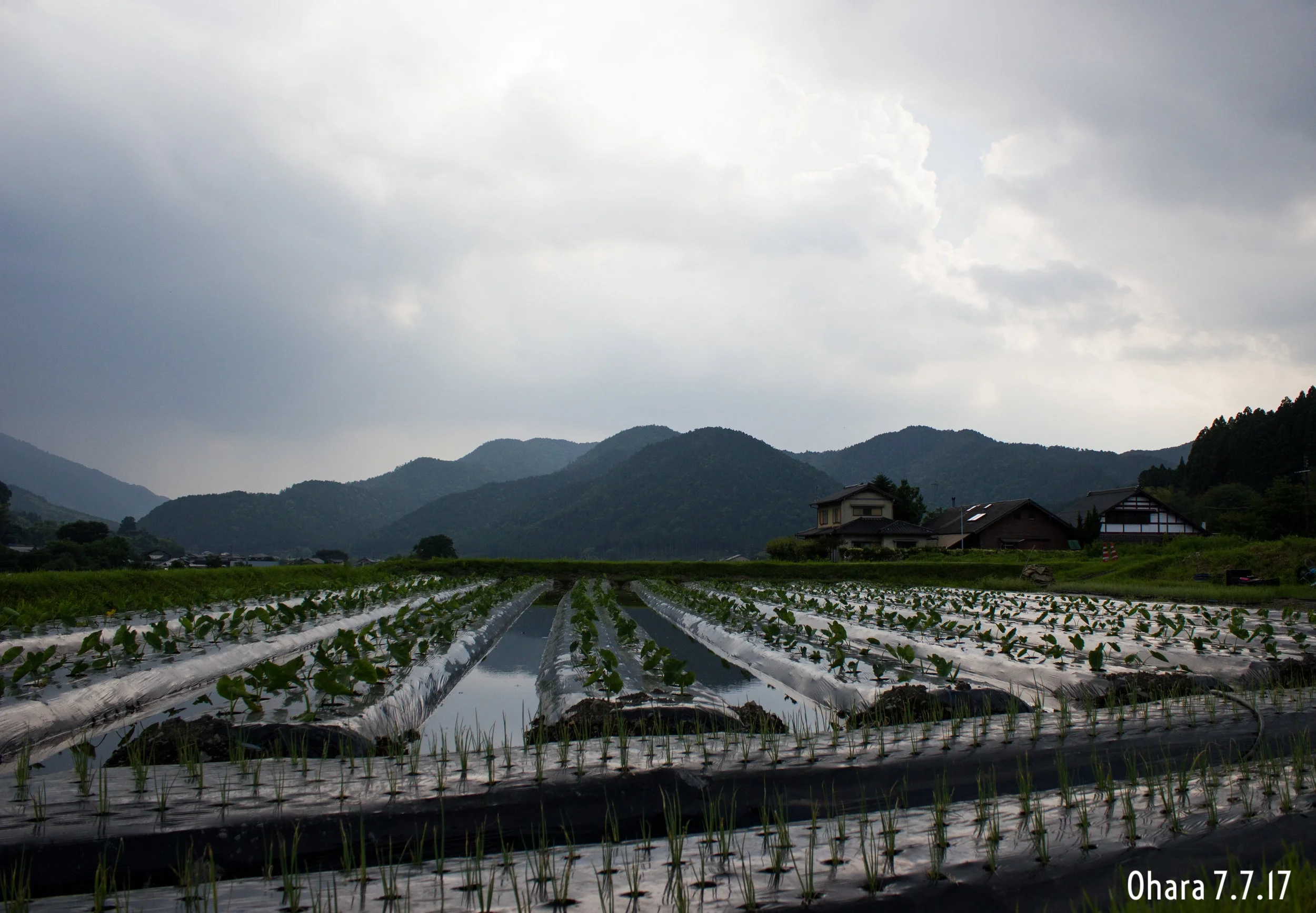 55days_japan_day3_ohara_kyoto_nikitaggarwal.com.jpg