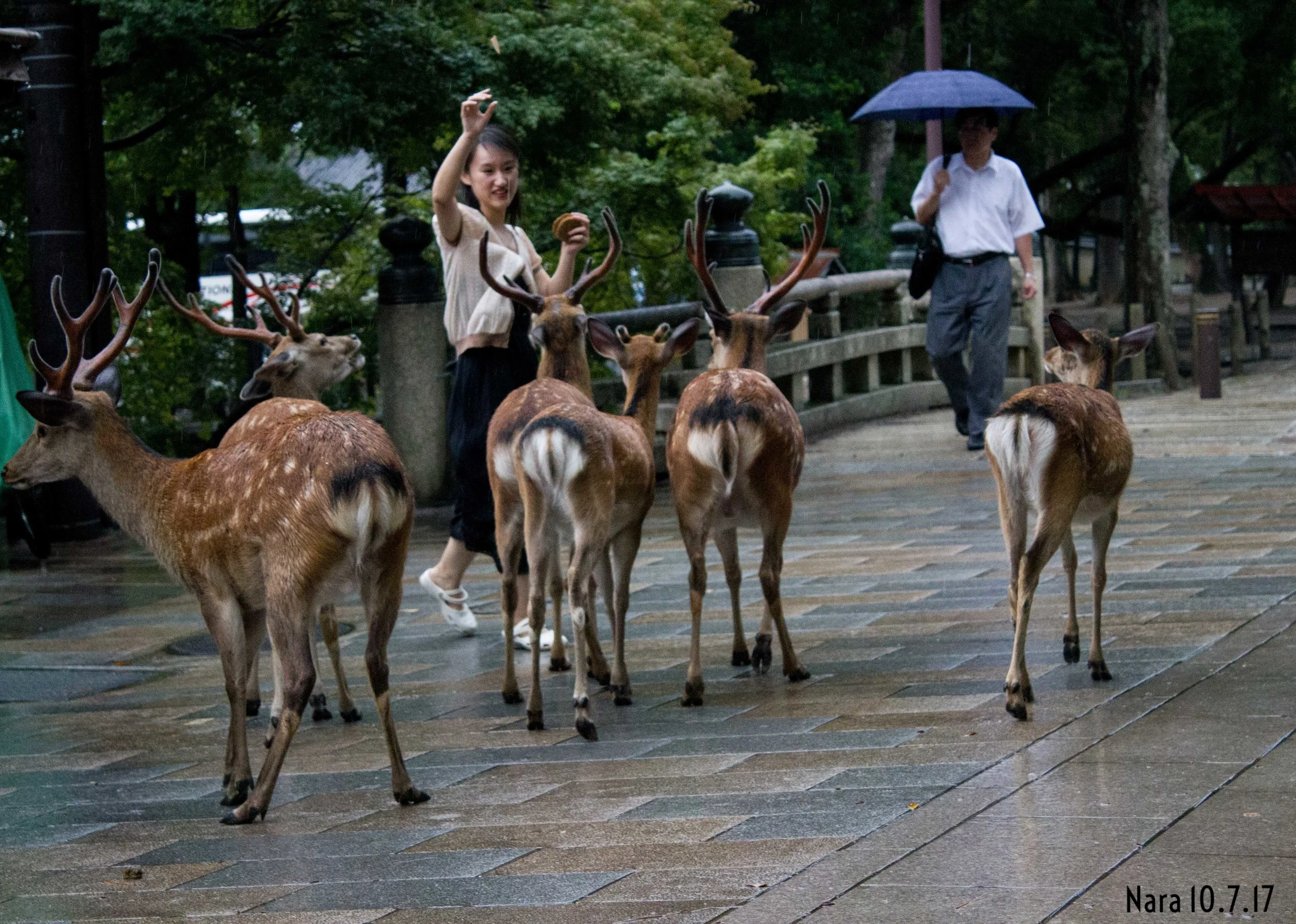 japan55_nara_day6_nikitaggarwal.com.jpg