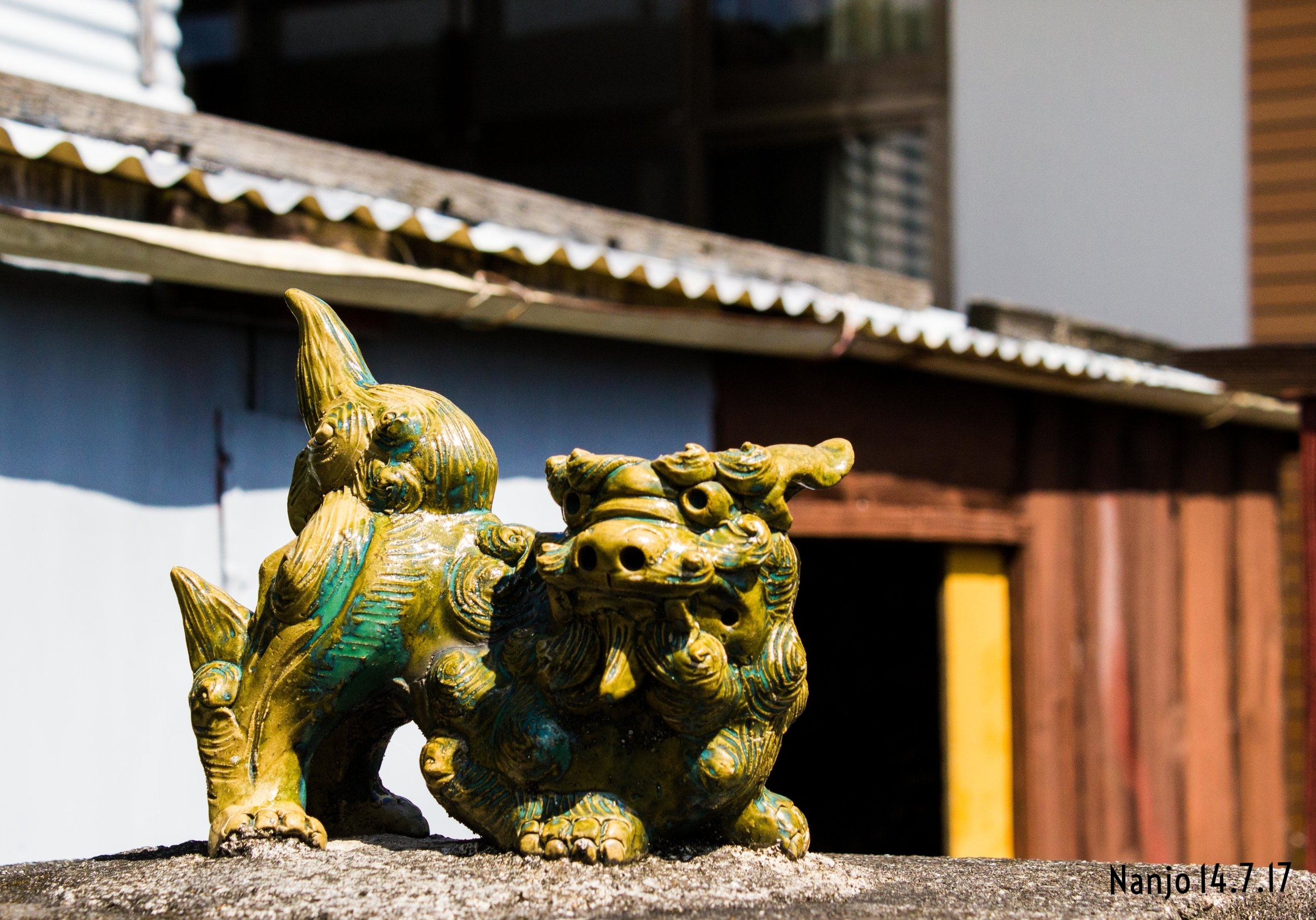 japan55_okinawa_day10_nikitaggarwal.com.jpg
