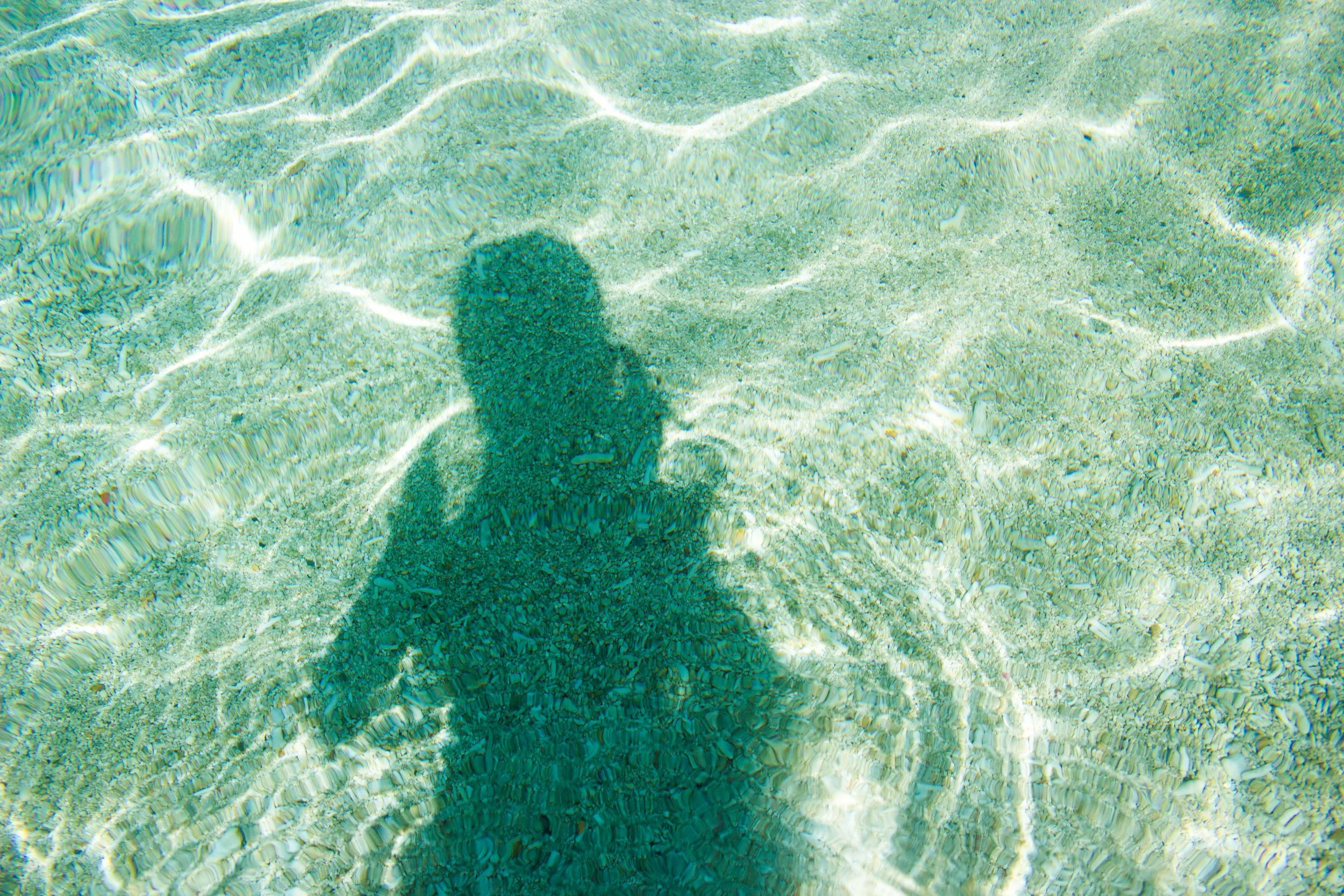 reflectoergosum_okinawa_aka.jpg