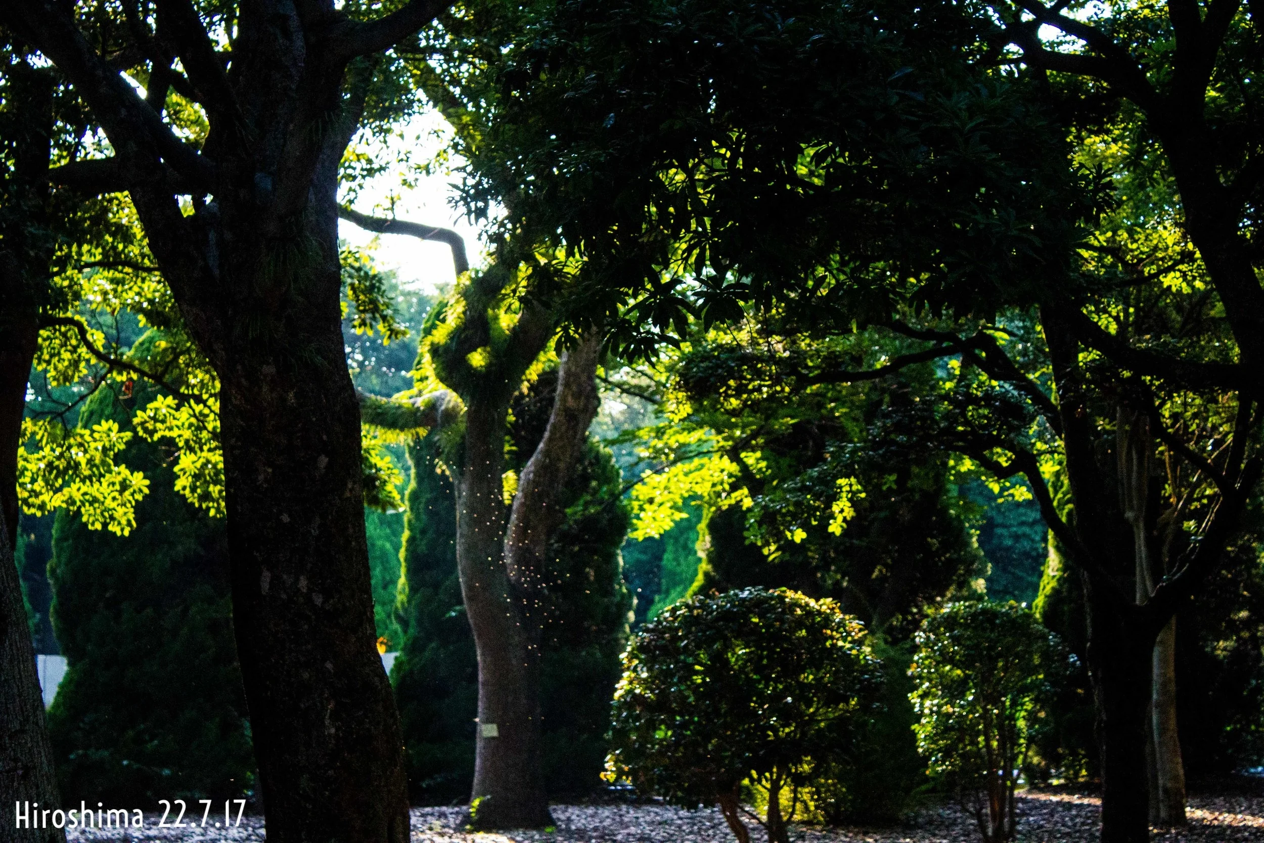 pandora_hiroshima_peace_park.jpg