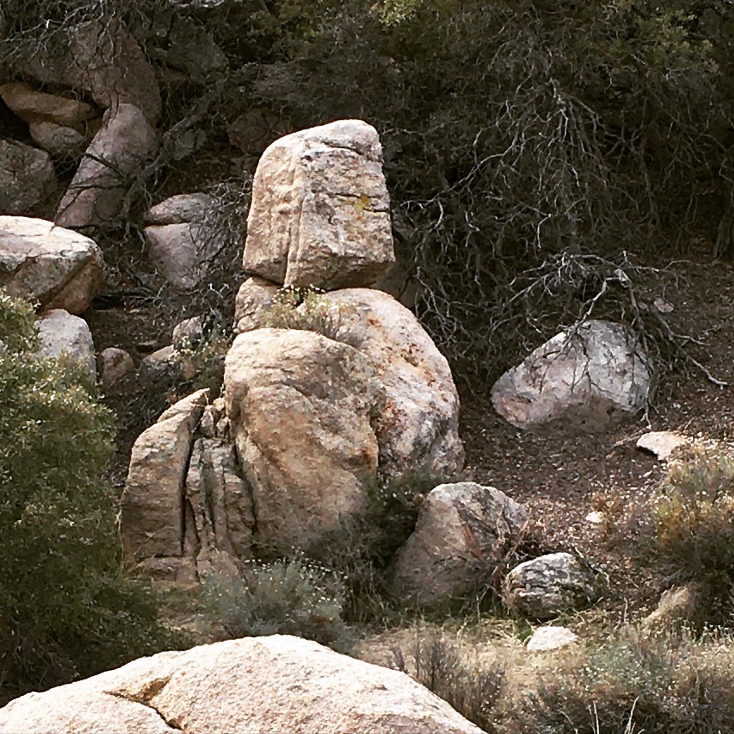 Taking time away from my incessant drive to create. Communing with a primordial female guardian in Joshua Tree, 🧘🏽&zwj;♂️⛩
.
.
.
#energymedicine #tao #guardianwoman #naturespirituality #communingwithnature #meditationeveryday #spiritualenergy #live