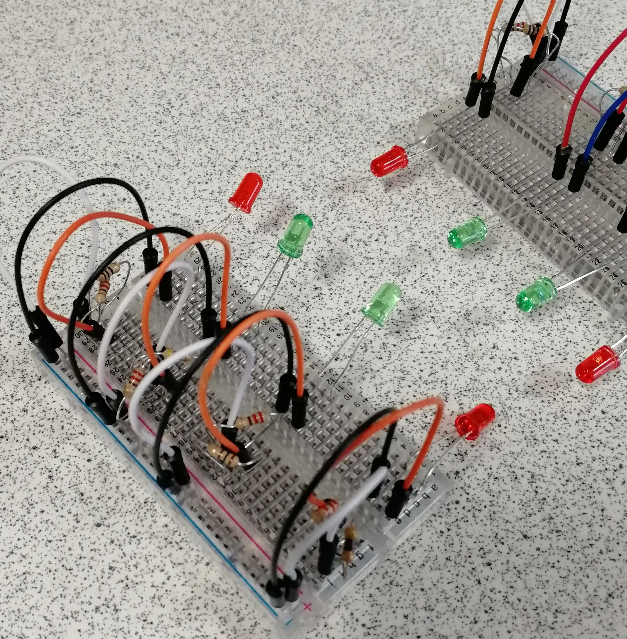 stem#4.jpg