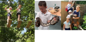 190702002.png