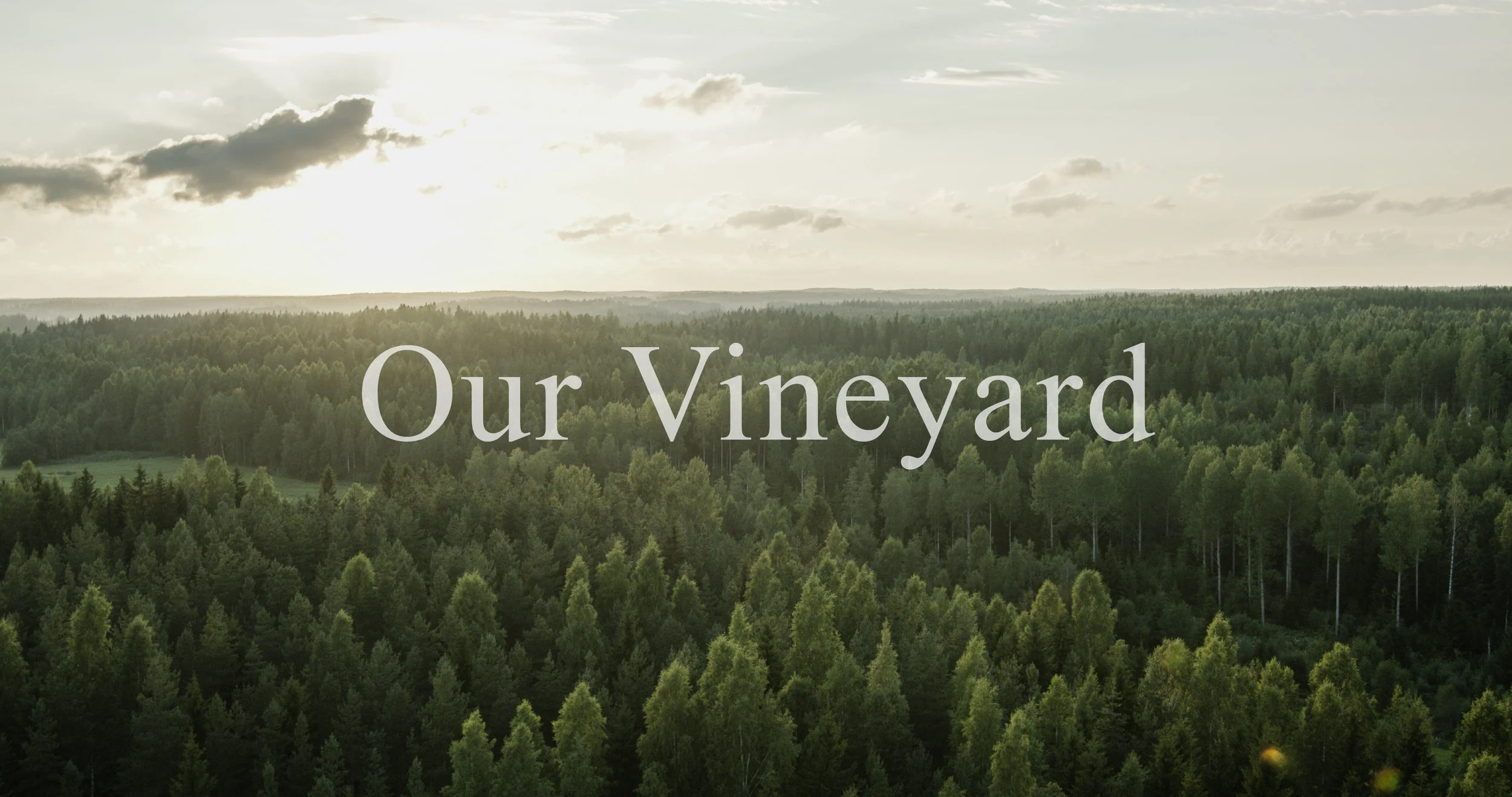 Finnviini is now Ainoa Winery!