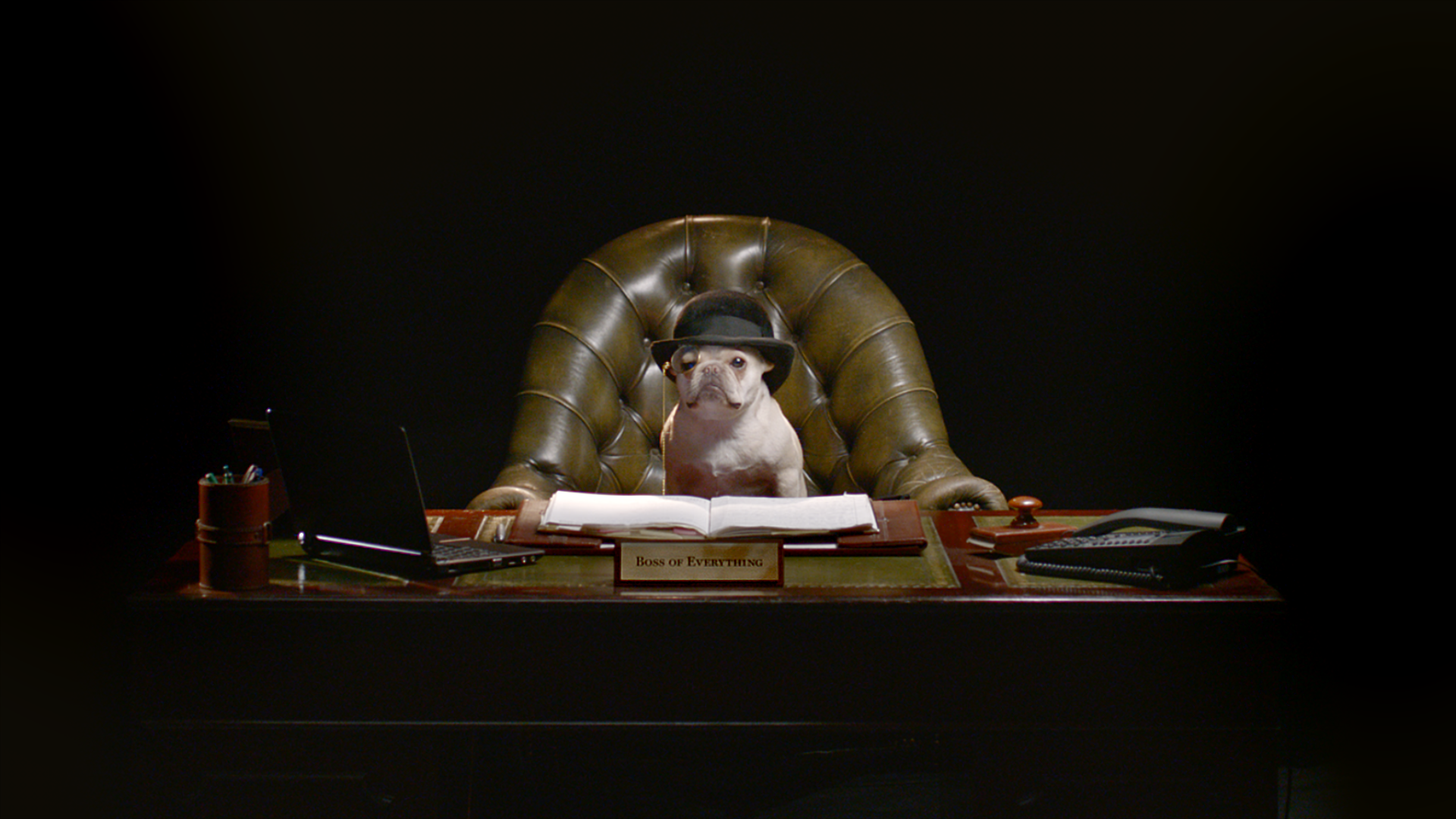 Everline Top Dog - Short Film Director