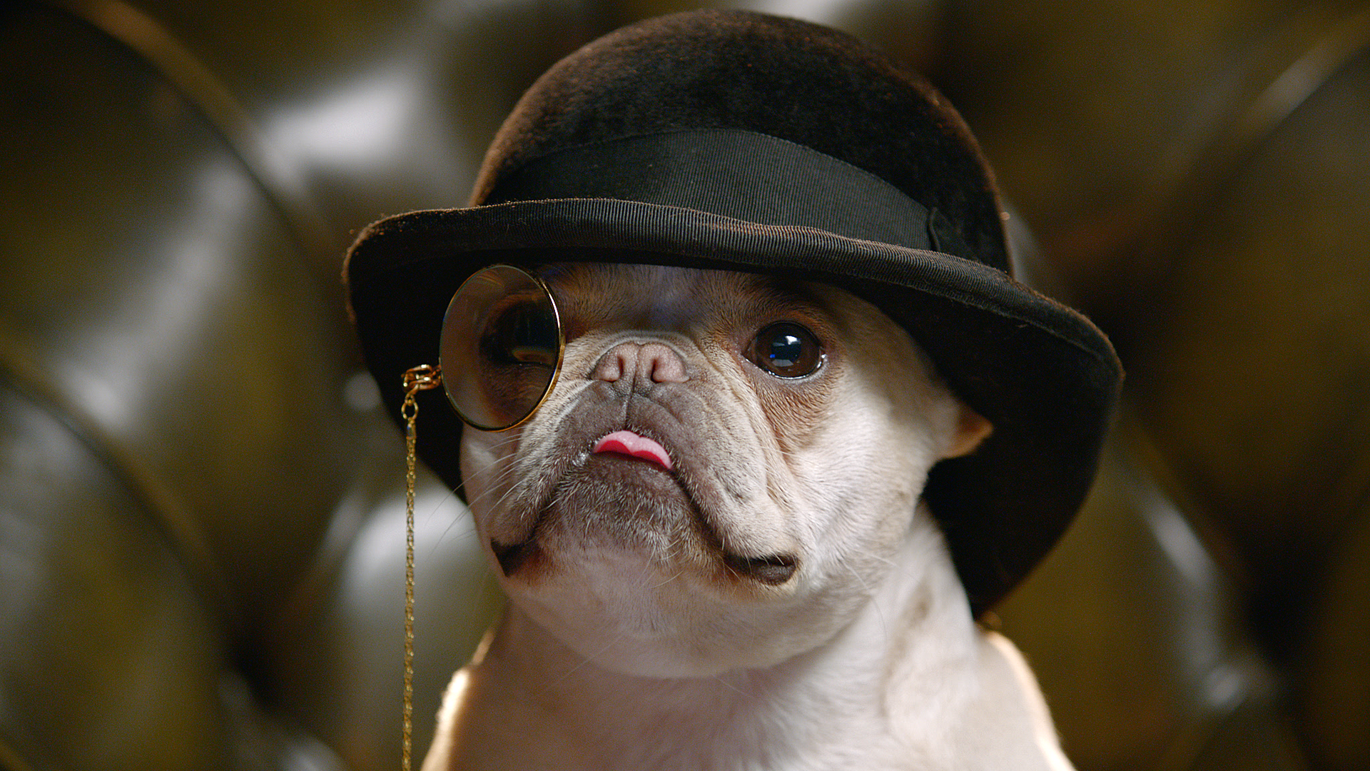 Everline Top Dog - Short Film Director