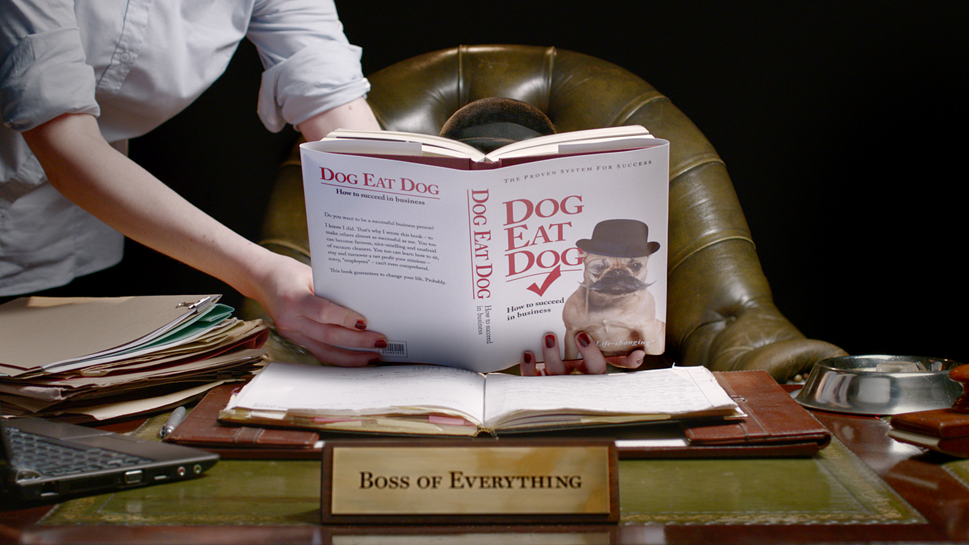 Everline Top Dog - Short Film Director