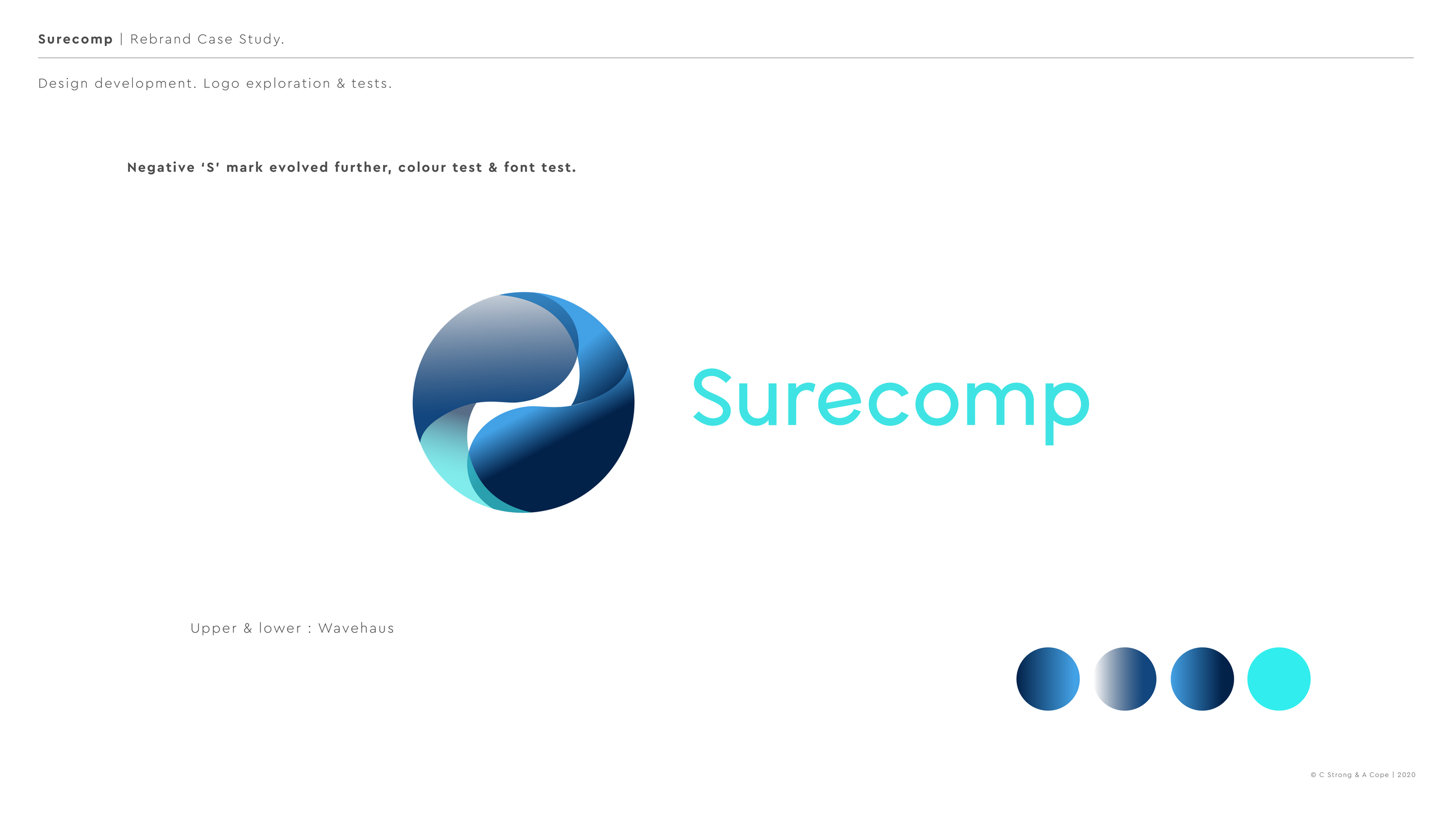 CASE STUDY DOC 2-30.png