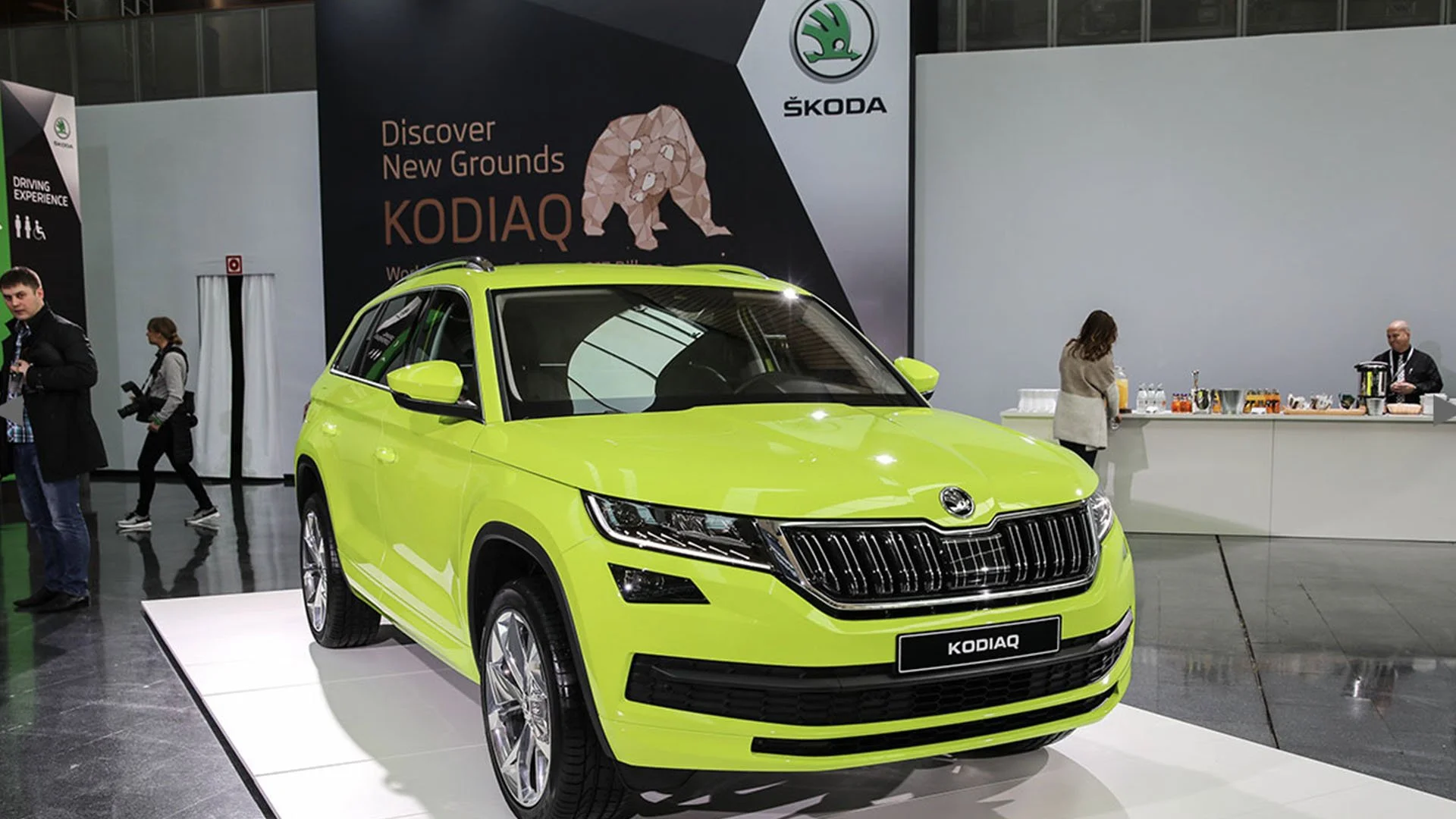 SKODA 4.jpg