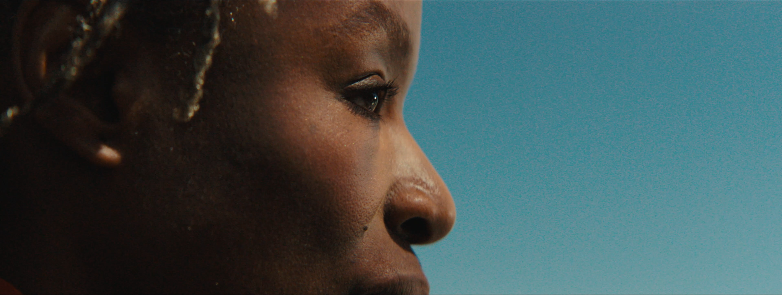 Shelter_Legacy_WIDE 00866.png