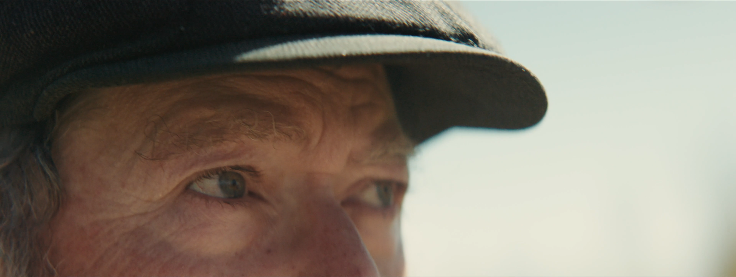 Shelter_Legacy_WIDE 01163.png