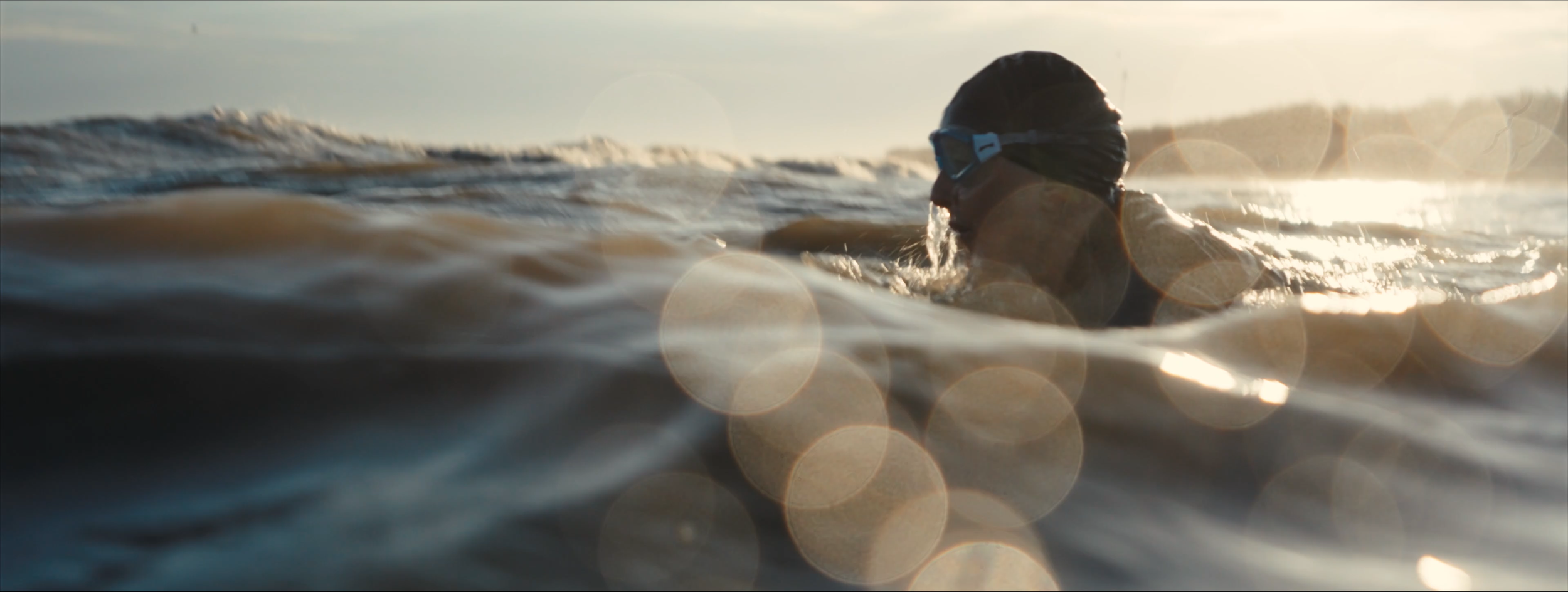 Shelter_Legacy_WIDE 02102.png