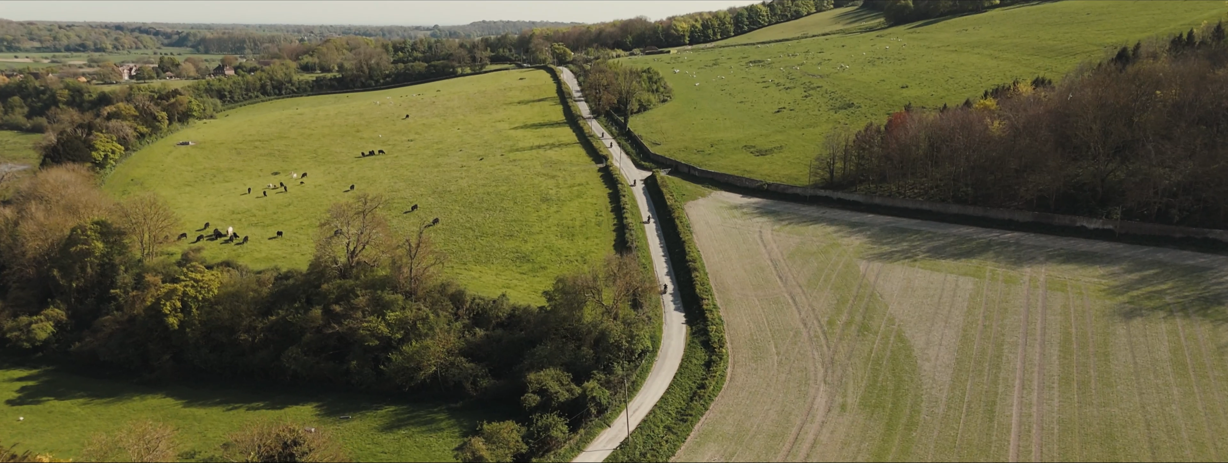 Shelter_Legacy_WIDE 02218.png