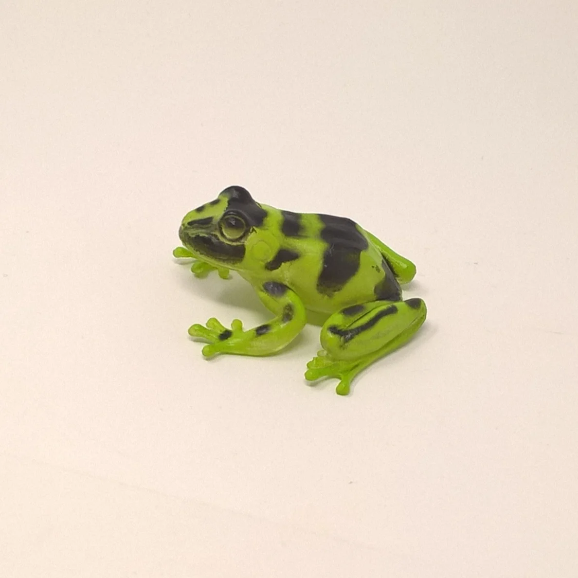 frog.jpeg