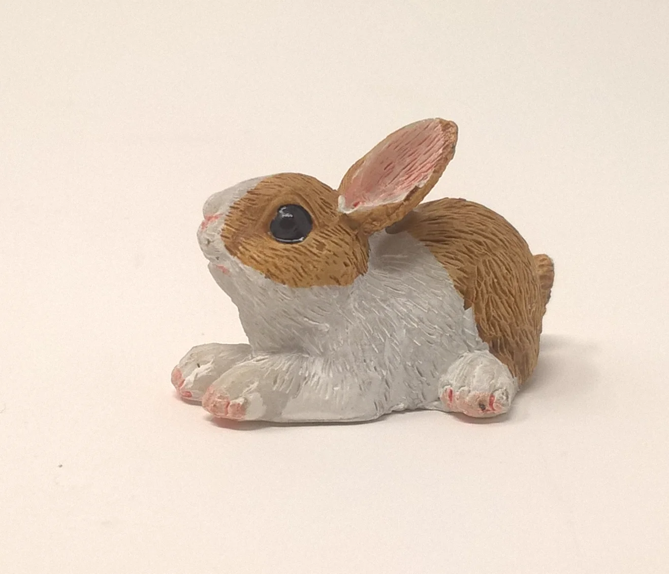 rabbit brown white.jpeg