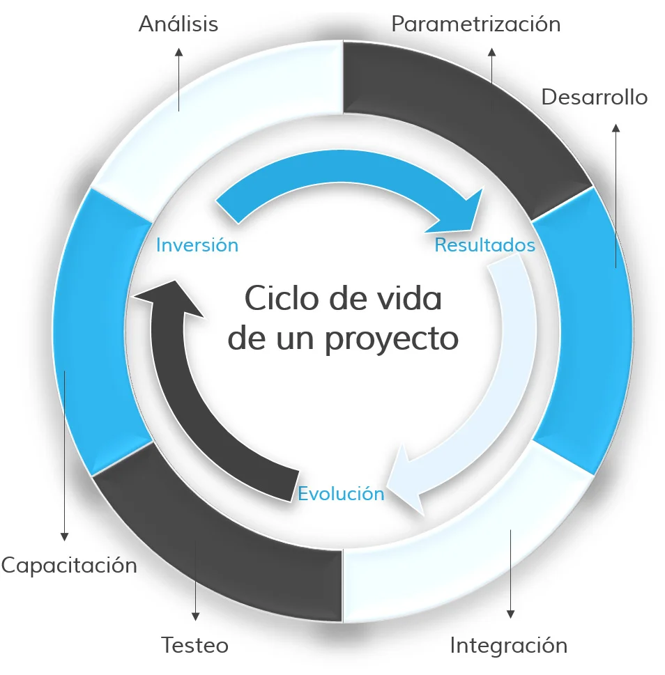 CicloVidaProyecto.jpg