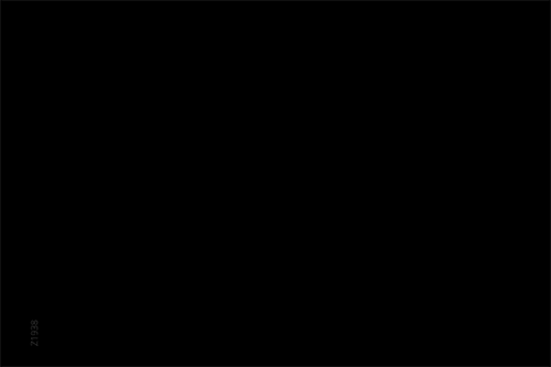 1938_Previo_ZohoONE.gif