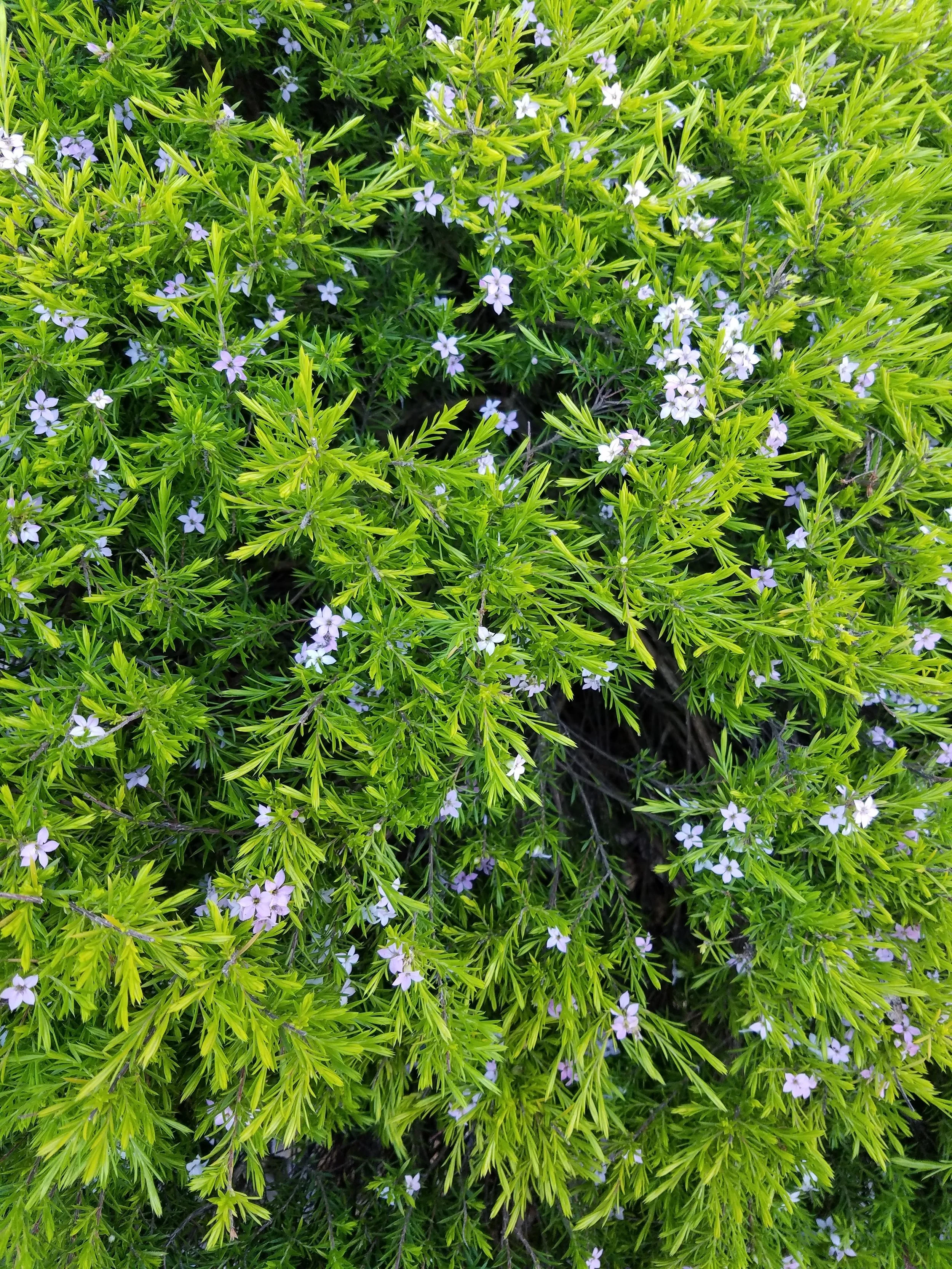 20160324_101325.jpg