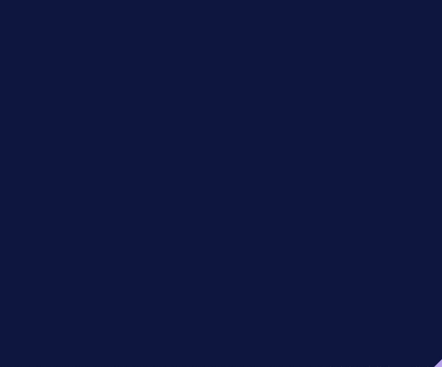 plane-large.gif