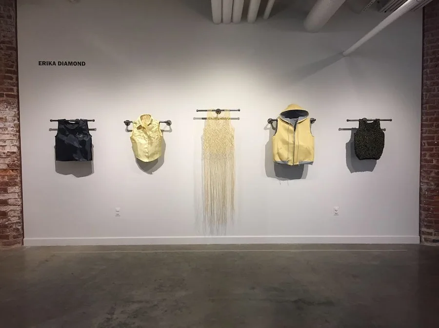 Erika Diamond, Imminent Peril-Queer Collection , installation view: McColl Center for Art + Innovation, 2018