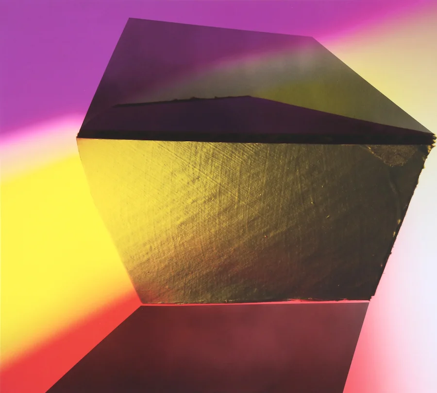 Kate Petley, Witness, acrylic and pigmented ink on canvas, 36” x 40”, 2018. Photo courtesy of the artist