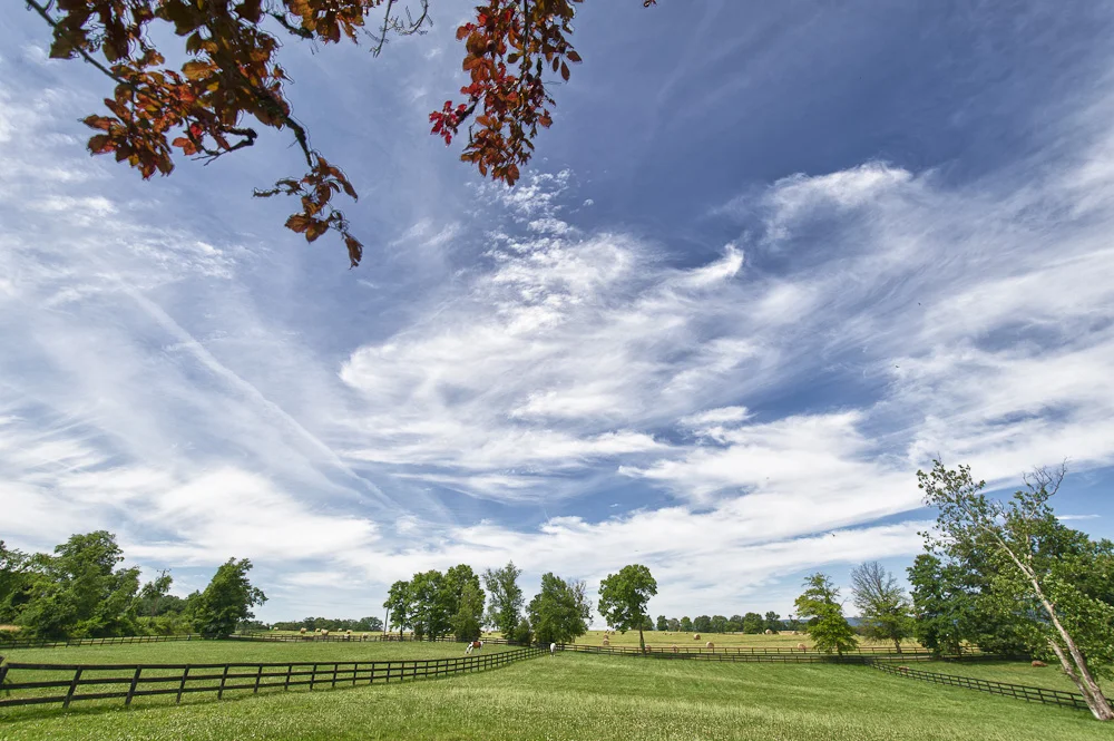 2012-06-13_Garden_Booker_0387_HDR.jpg