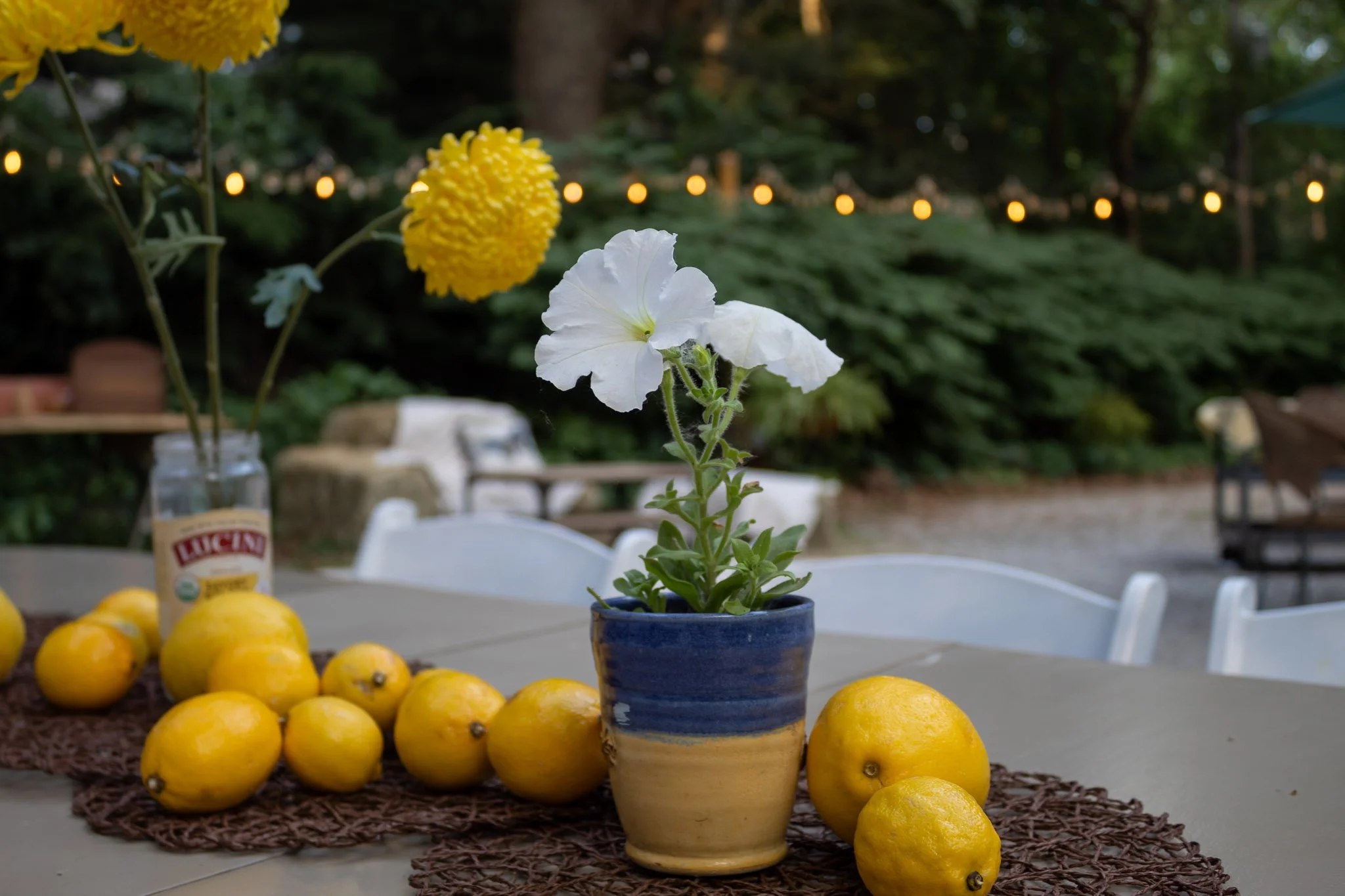 lemon-baby-lemons-flowers-table.jpg