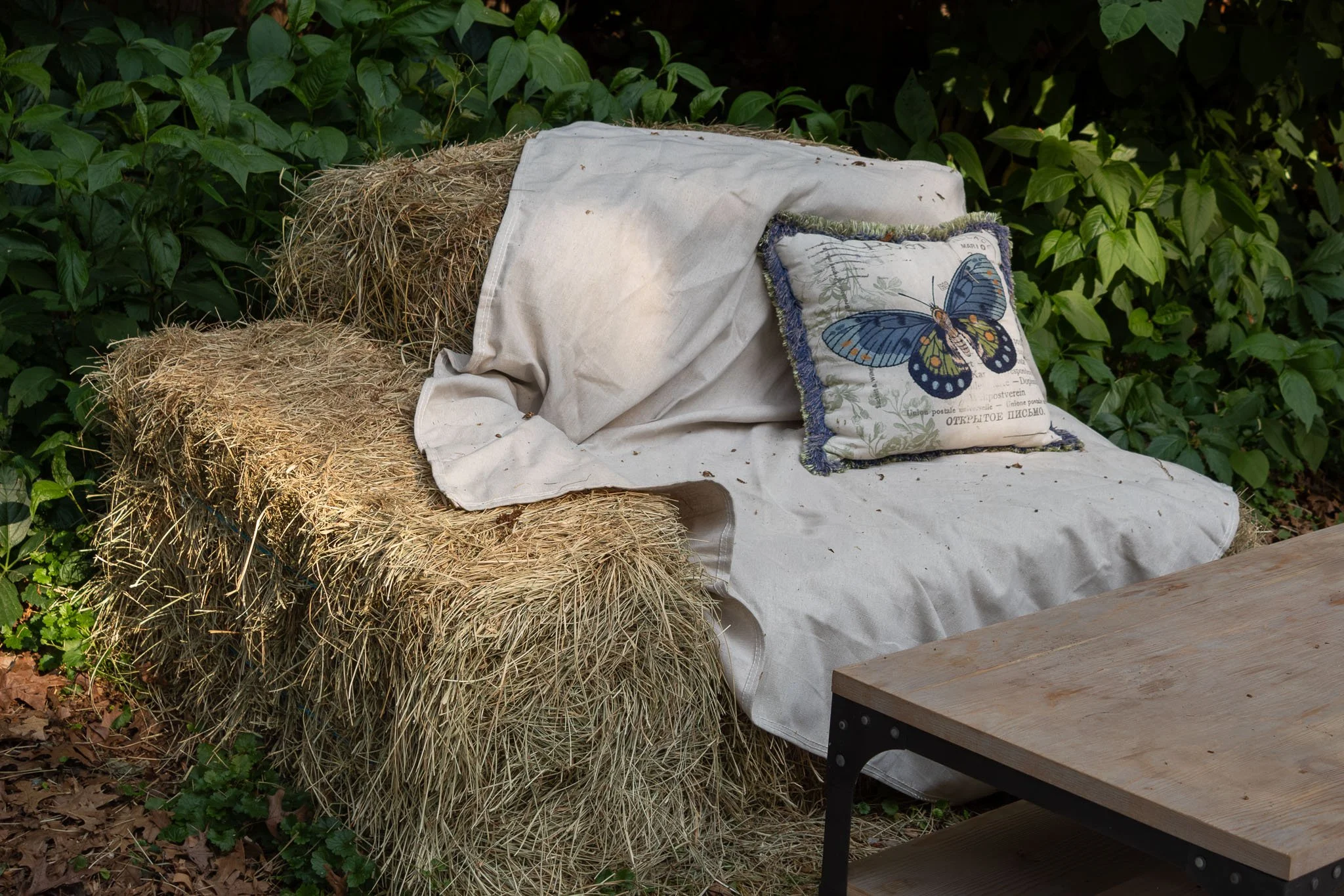 lemon-baby-hay-bale.jpg