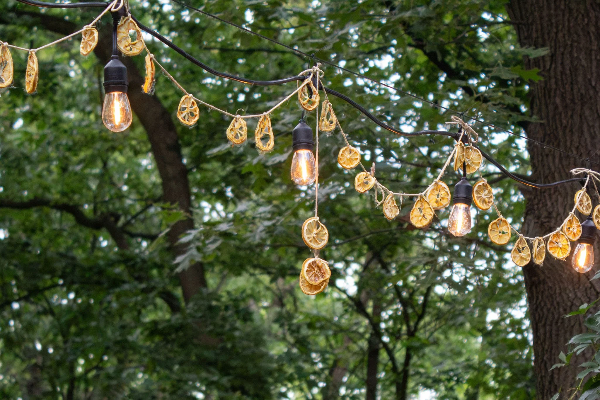 lemon-baby-lemon-garland.jpg